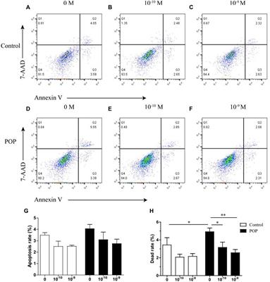 The protective effect of 17 β-estradiol on human uterosacral ligament fibroblasts from postmenopausal women with pelvic organ prolapse
